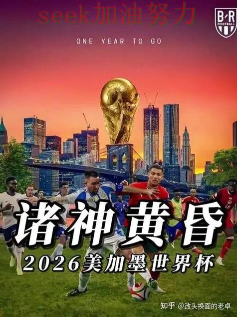 世界杯买球真实体验总结：平台可靠吗关键点解析（World Cup 2026）